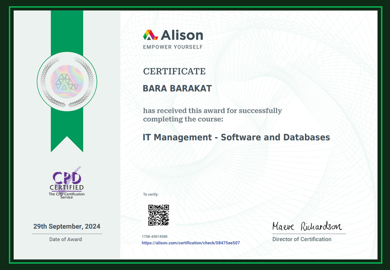 IT Management